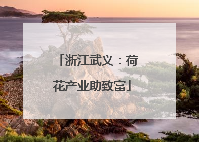 浙江武义：荷花产业助致富