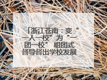 浙江苍南：变“一人一校”为“一团一校” 组团式督导督出学校发展加速度