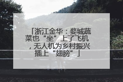 浙江金华：婺城蔬菜也“坐”上了飞机，无人机为乡村振兴插上“翅膀”