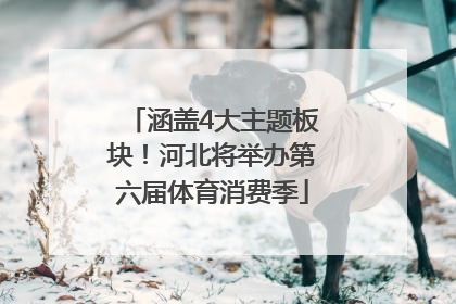 涵盖4大主题板块！河北将举办第六届体育消费季