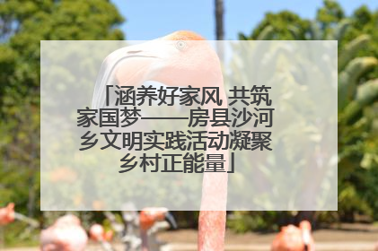 涵养好家风 共筑家国梦——房县沙河乡文明实践活动凝聚乡村正能量