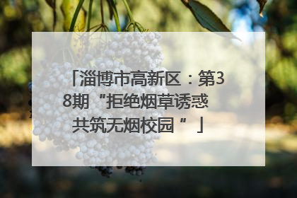淄博市高新区：第38期“拒绝烟草诱惑 共筑无烟校园 ”