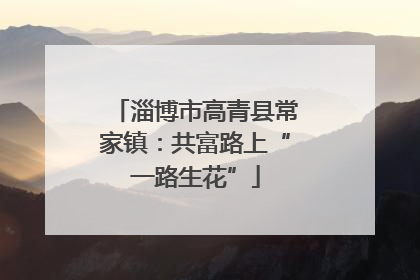 淄博市高青县常家镇：共富路上“一路生花”