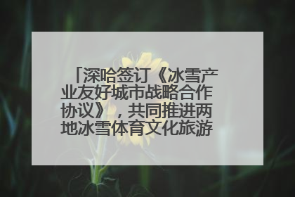 深哈签订《冰雪产业友好城市战略合作协议》，共同推进两地冰雪体育文化旅游高质量发展