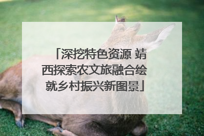 深挖特色资源 靖西探索农文旅融合绘就乡村振兴新图景
