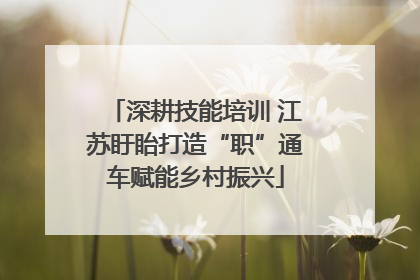 深耕技能培训 江苏盱眙打造“职”通车赋能乡村振兴