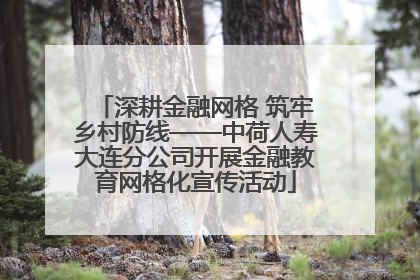 深耕金融网格 筑牢乡村防线——中荷人寿大连分公司开展金融教育网格化宣传活动