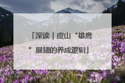 深读｜虞山“雄鹰”展翅的养成逻辑