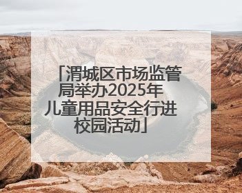 渭城区市场监管局举办2025年儿童用品安全行进校园活动