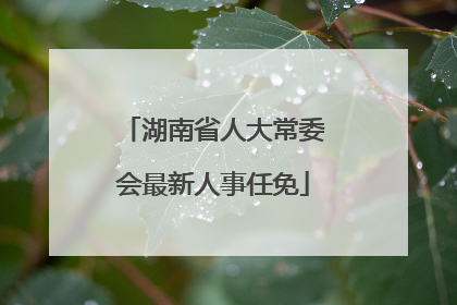 湖南省人大常委会最新人事任免