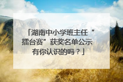 湖南中小学班主任“擂台赛”获奖名单公示 有你认识的吗？