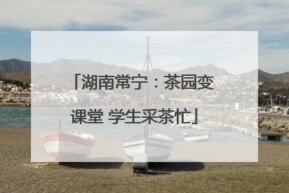 湖南常宁：茶园变课堂 学生采茶忙