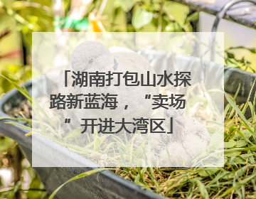湖南打包山水探路新蓝海，“卖场”开进大湾区