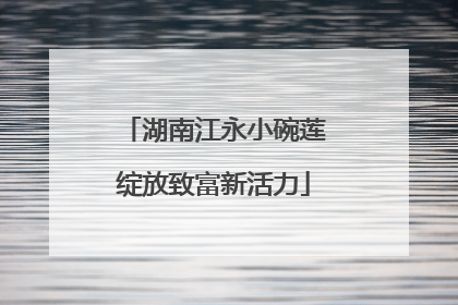 湖南江永小碗莲绽放致富新活力