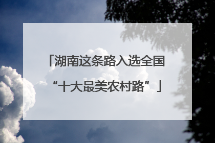 湖南这条路入选全国“十大最美农村路”