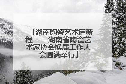 湖南陶瓷艺术启新程——湖南省陶瓷艺术家协会换届工作大会圆满举行