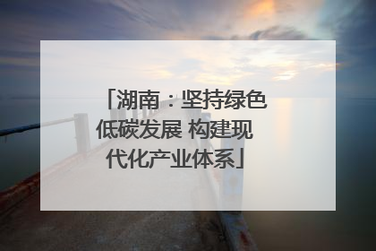 湖南：坚持绿色低碳发展 构建现代化产业体系