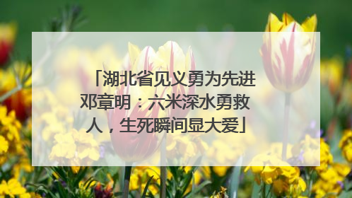 湖北省见义勇为先进邓章明：六米深水勇救人，生死瞬间显大爱