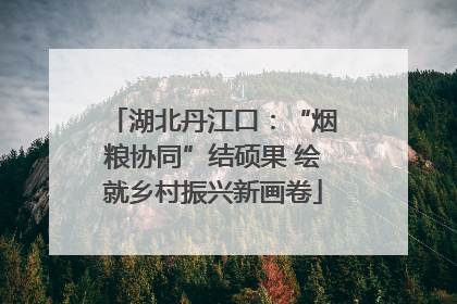 湖北丹江口：“烟粮协同”结硕果 绘就乡村振兴新画卷