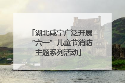 湖北咸宁广泛开展“六一”儿童节消防主题系列活动