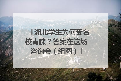 湖北学生为何受名校青睐？答案在这场咨询会（组图）
