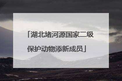 湖北堵河源国家二级保护动物添新成员