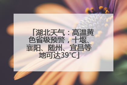 湖北天气：高温黄色省级预警，十堰、襄阳、随州、宜昌等地可达39℃