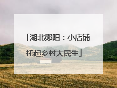 湖北郧阳：小店铺托起乡村大民生