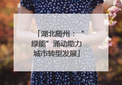 湖北随州：“绿能”涌动助力城市转型发展