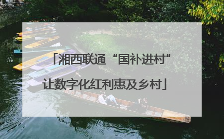 湘西联通“国补进村”让数字化红利惠及乡村