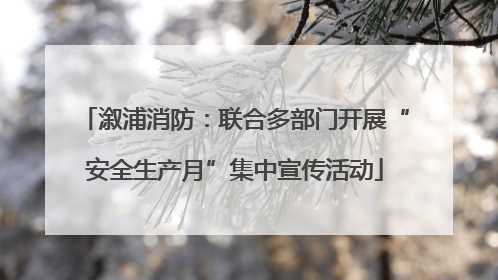 溆浦消防：联合多部门开展“安全生产月”集中宣传活动
