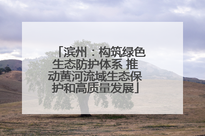 滨州：构筑绿色生态防护体系 推动黄河流域生态保护和高质量发展