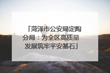 菏泽市公安局定陶分局：为全区高质量发展筑牢平安基石