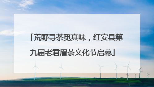 荒野寻茶觅真味，红安县第九届老君眉茶文化节启幕