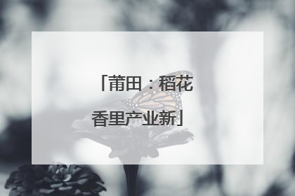 莆田：稻花香里产业新