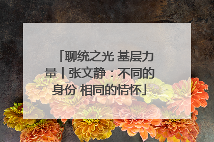 聊统之光 基层力量丨张文静：不同的身份 相同的情怀