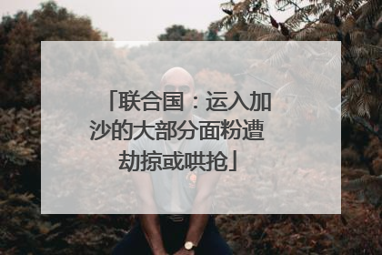 联合国：运入加沙的大部分面粉遭劫掠或哄抢