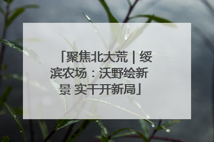 聚焦北大荒｜绥滨农场：沃野绘新景 实干开新局