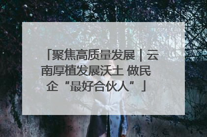 聚焦高质量发展｜云南厚植发展沃土 做民企“最好合伙人”