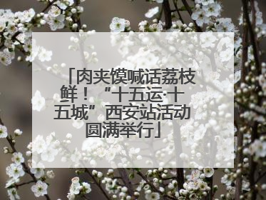 肉夹馍喊话荔枝鲜！“十五运·十五城”西安站活动圆满举行