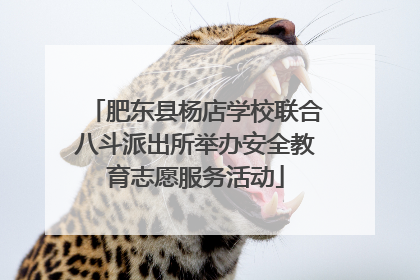 肥东县杨店学校联合八斗派出所举办安全教育志愿服务活动