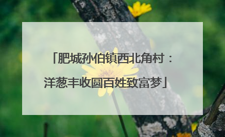 肥城孙伯镇西北角村：洋葱丰收圆百姓致富梦
