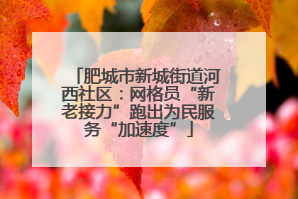 肥城市新城街道河西社区：网格员“新老接力”跑出为民服务“加速度”