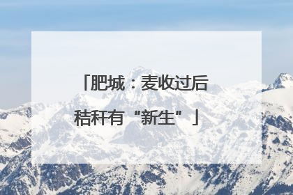 肥城：麦收过后秸秆有“新生”