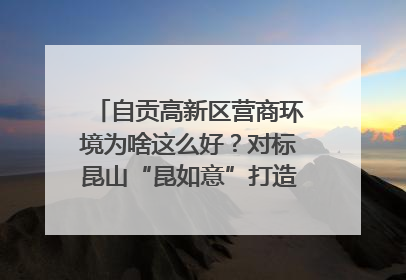 自贡高新区营商环境为啥这么好？对标昆山“昆如意”打造自贡“高兴办”｜美好生活有“盐”味