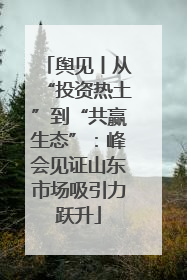 舆见丨从“投资热土”到“共赢生态”：峰会见证山东市场吸引力跃升