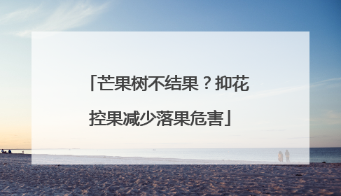 芒果树不结果？抑花控果减少落果危害
