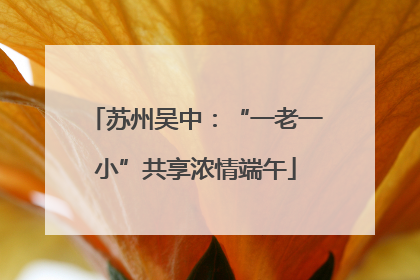 苏州吴中：“一老一小”共享浓情端午