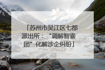 苏州市吴江区七都派出所：“调解智囊团”化解涉企纠纷