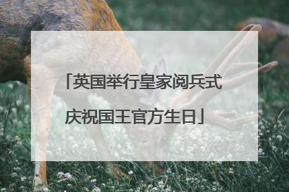 英国举行皇家阅兵式庆祝国王官方生日